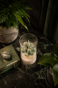 Succulent Plant Candle in Glass Jar | Handmade Soy Wax Decorative Candle | Botanical Home Décor Candle | Luxury Gift Candle